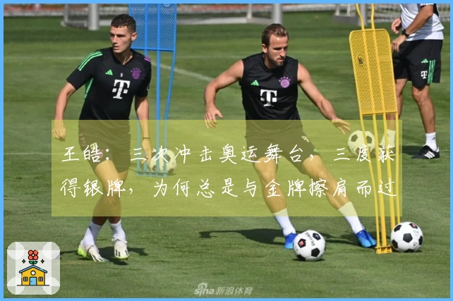 王皓：三次冲击奥运舞台，三度获得银牌，为何总是与金牌擦肩而过？