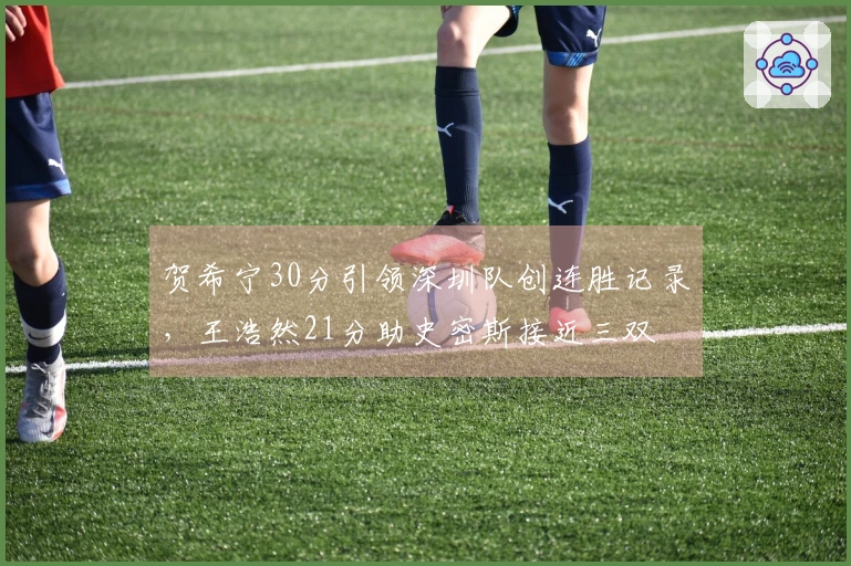 贺希宁30分引领深圳队创连胜记录，王浩然21分助史密斯接近三双